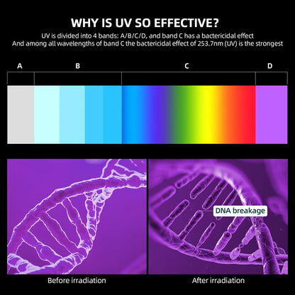 Electric UV Sterilizer Aromatherapy Box Multifunctional Mobile Phone Wireless Charger Disinfection Anti Bacteria Machine